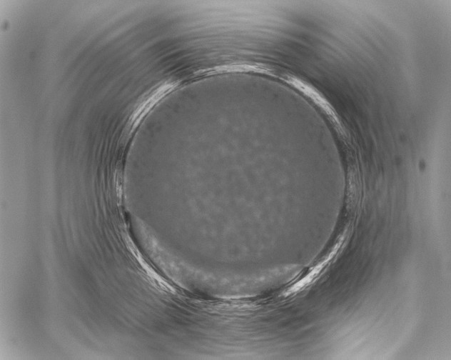 X0000059240809200510171429