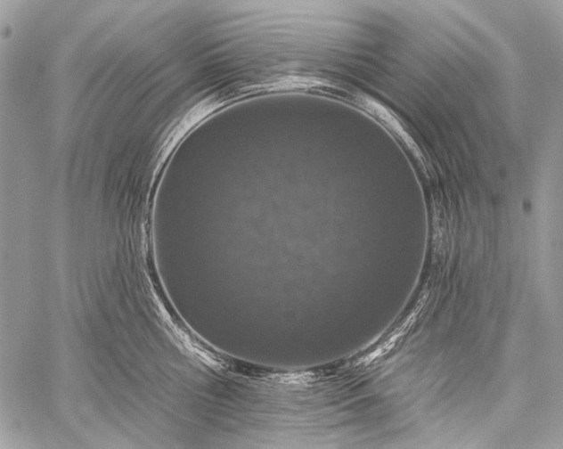 X0000059240810200510171429