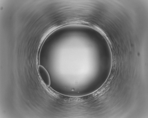 X0000059240811200510171429