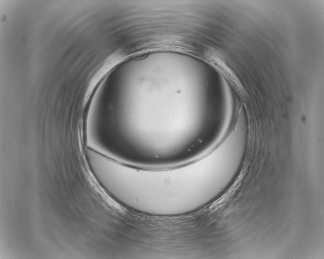 X0000059240812200510171429