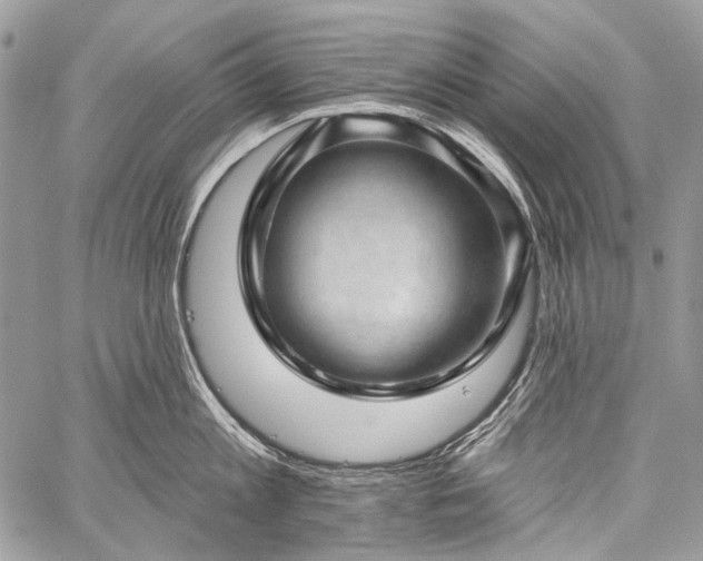 X0000059240813200510171429