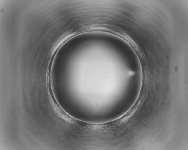 X0000059240814200510171429