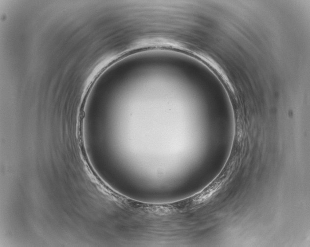 X0000059240815200510171429