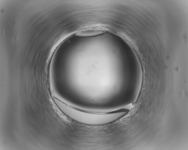 X0000059240816200510171429