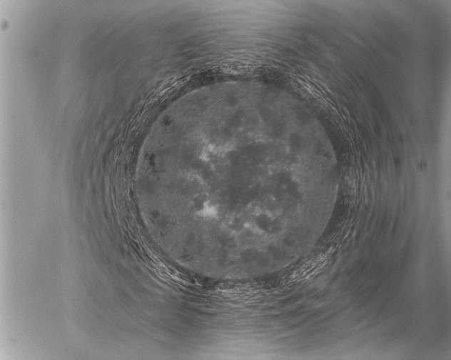 X0000059240817200510171429