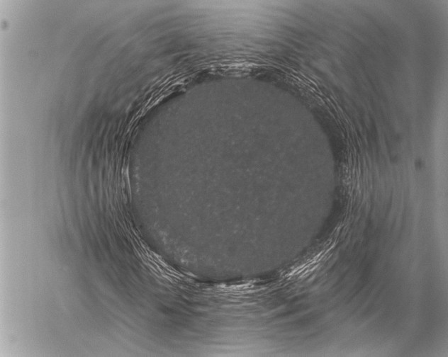 X0000059240818200510171429