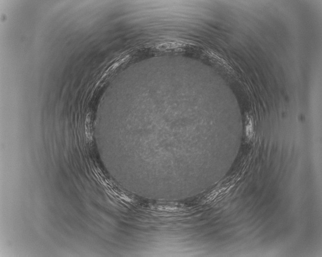 X0000059240819200510171429