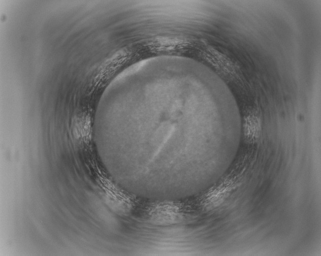 X0000059240820200510171429