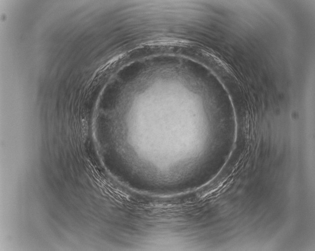 X0000059240821200510171429