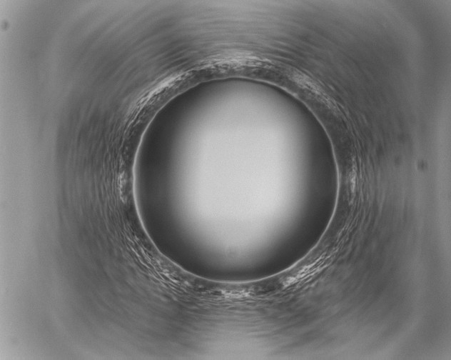 X0000059240822200510171429