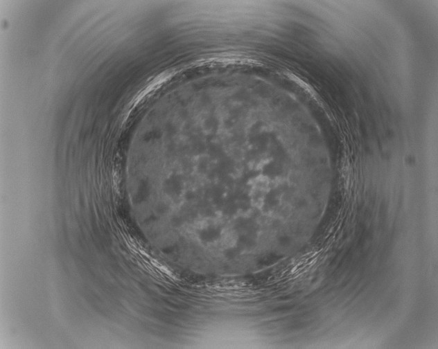 X0000059240823200510171429