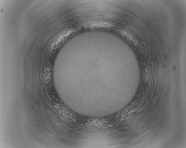 X0000059240824200510171429