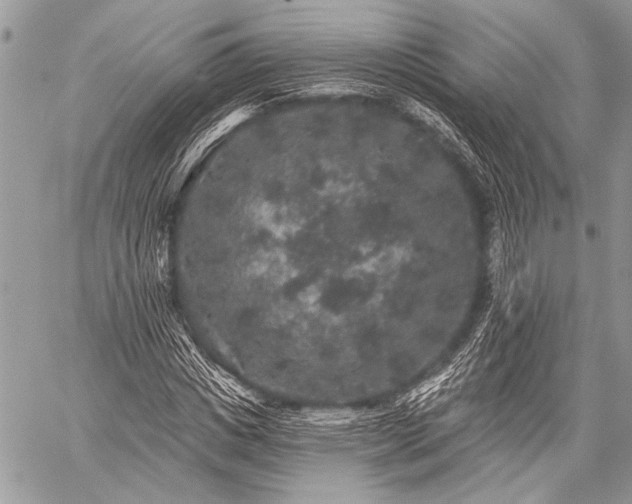 X0000059240825200510171429