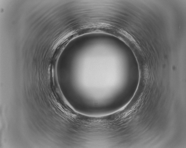 X0000059240826200510171429