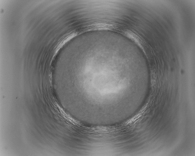 X0000059240827200510171429