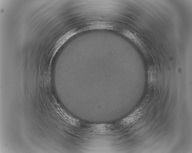 X0000059240828200510171429