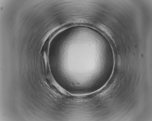 X0000059240829200510171429