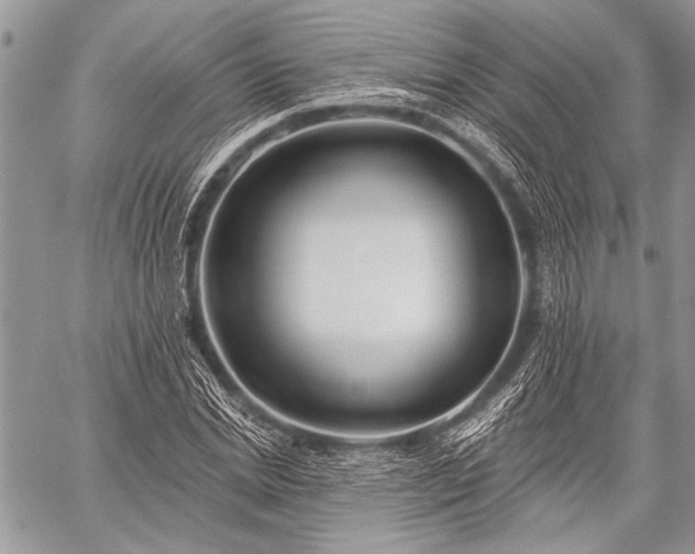 X0000059240830200510171429