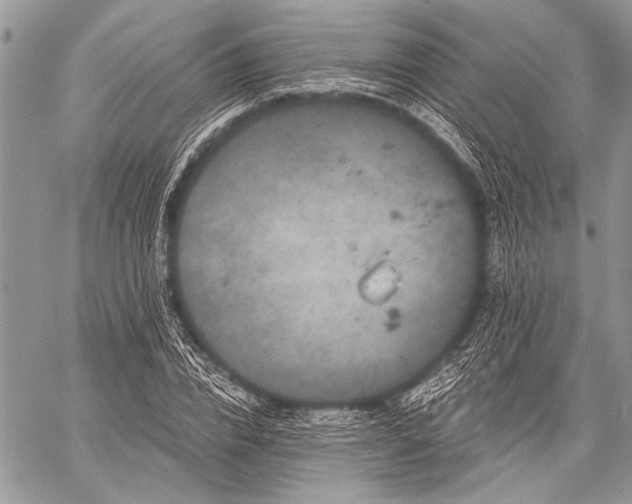 X0000059240832200510171429