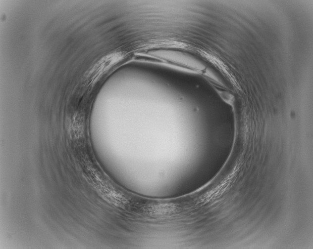 X0000059240833200510171429