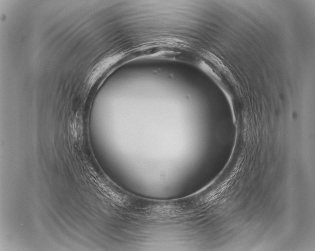 X0000059240834200510171429