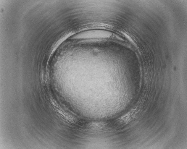 X0000059240835200510171429