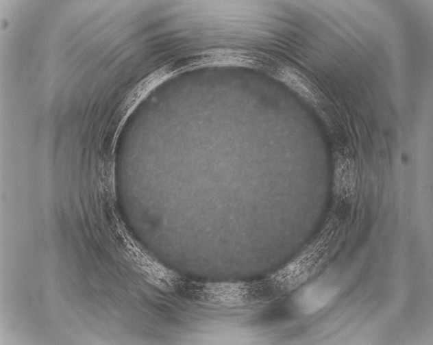 X0000059240836200510171429