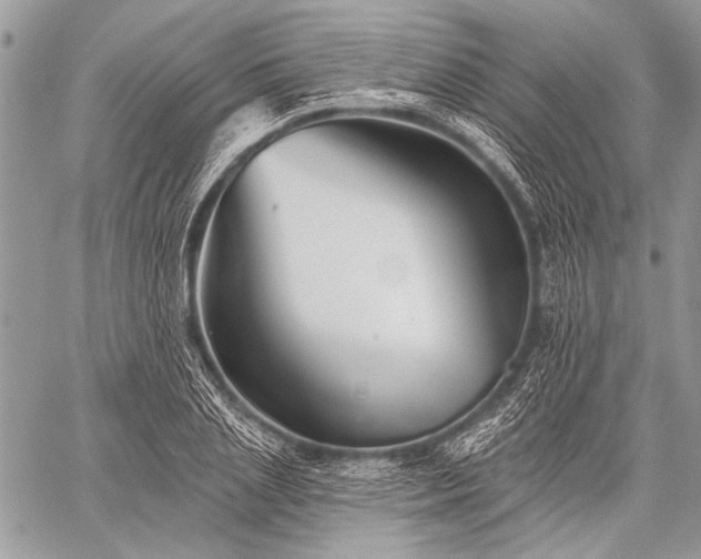 X0000059240837200510171429