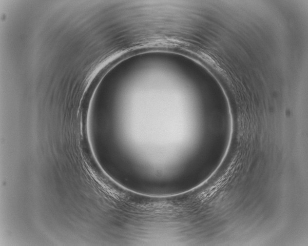 X0000059240838200510171429