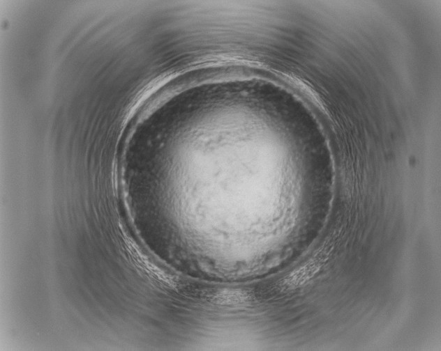 X0000059240839200510171429