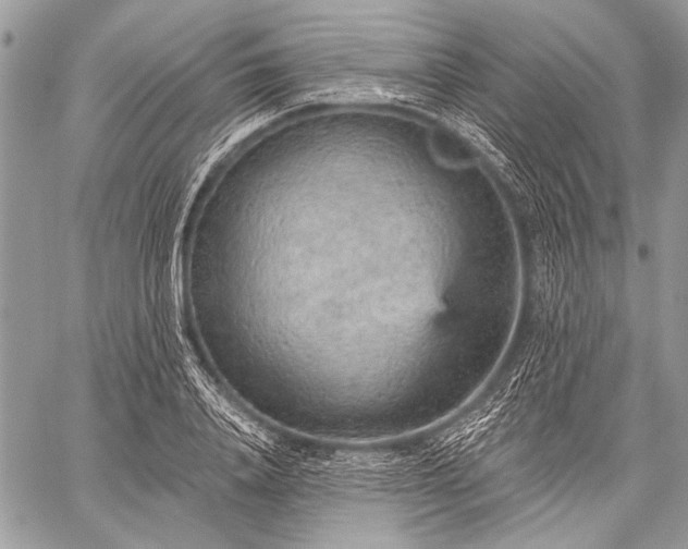 X0000059240840200510171429