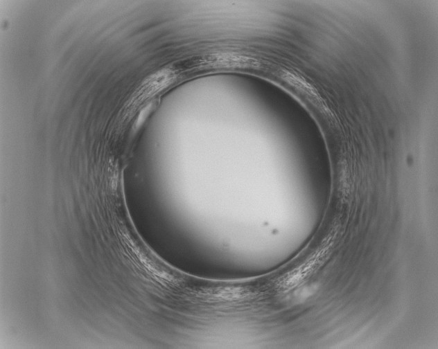 X0000059240841200510171429