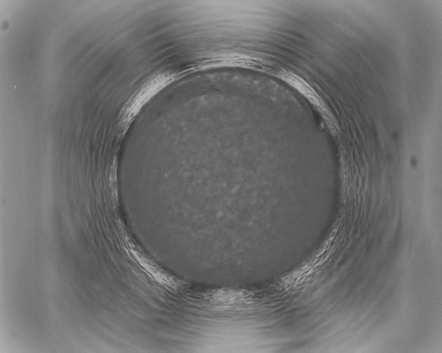 X0000059240842200510171429