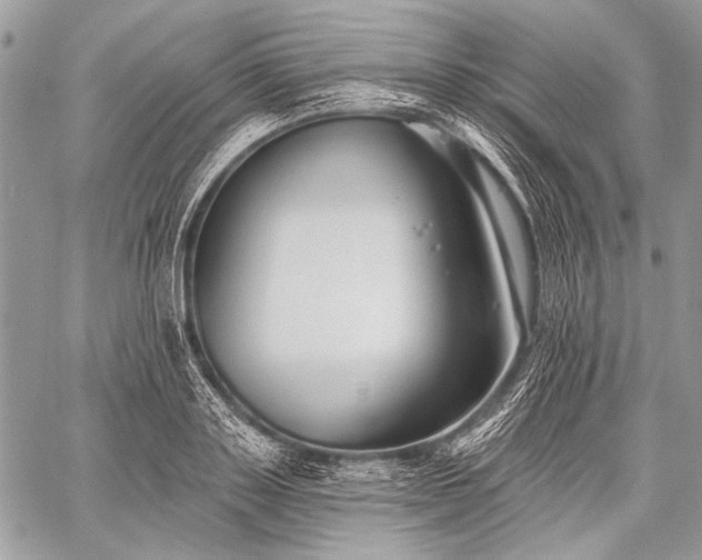 X0000059240843200510171429