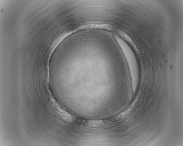 X0000059240844200510171429