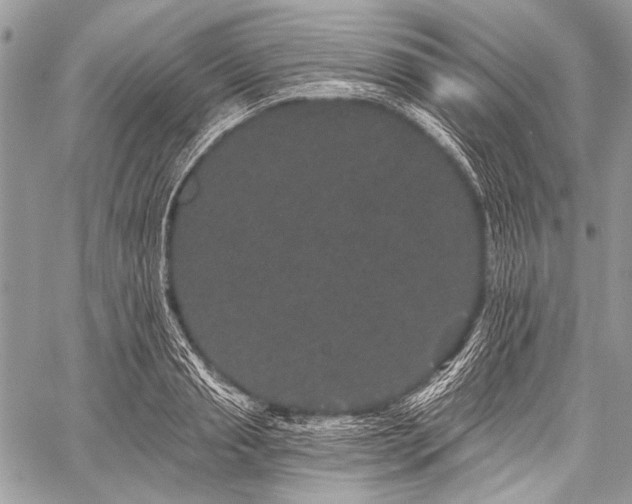 X0000059240845200510171429