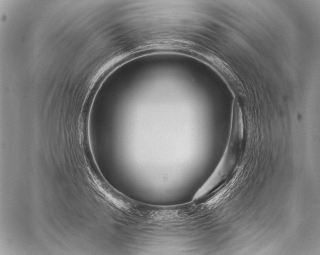 X0000059240846200510171429