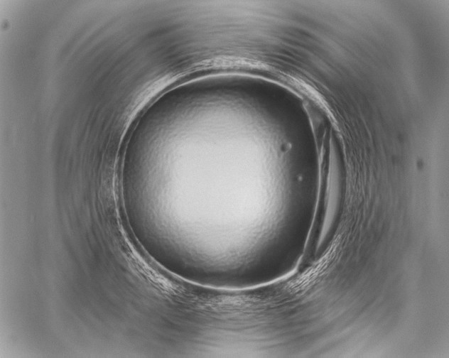 X0000059240847200510171429