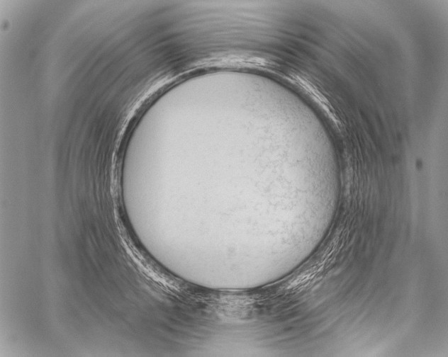 X0000059240848200510171429