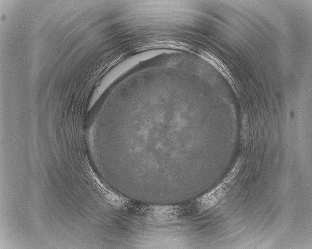 X0000059240849200510171429