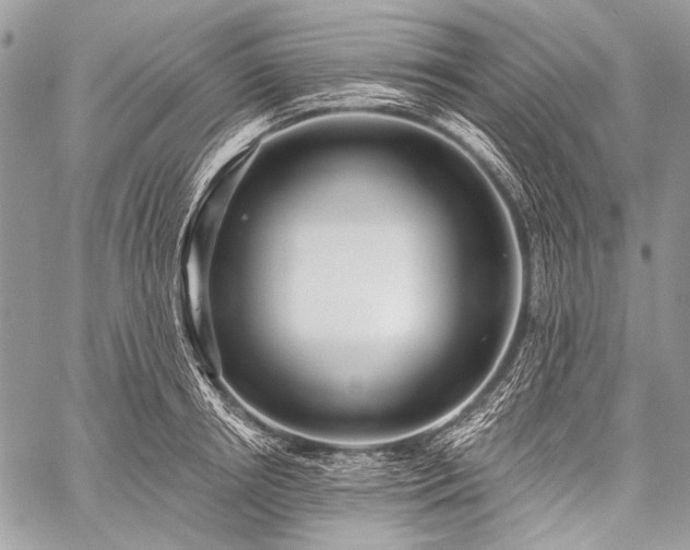 X0000059240850200510171429