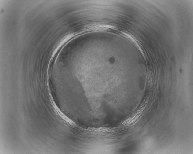 X0000059240851200510171429