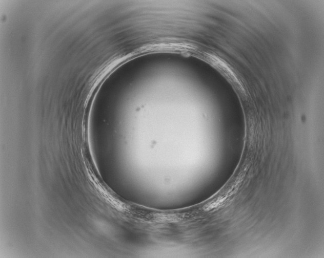 X0000059240852200510171429