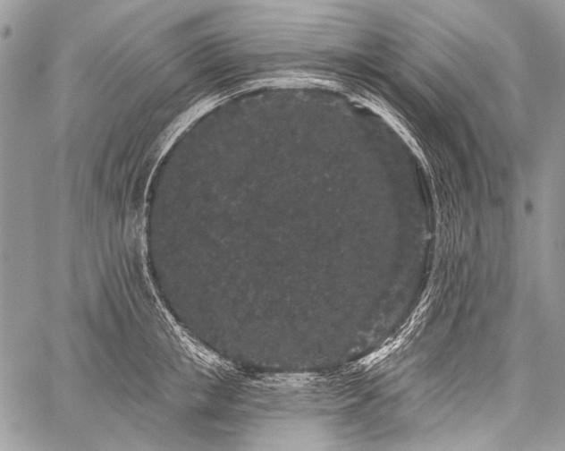 X0000059240853200510171429