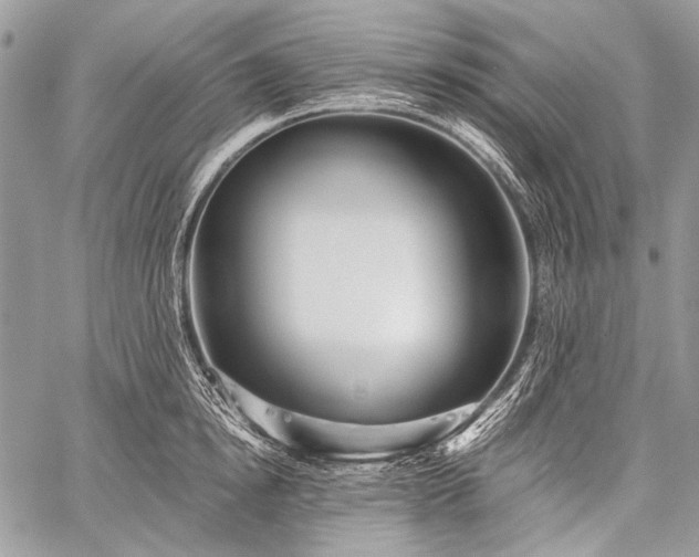 X0000059240854200510171429