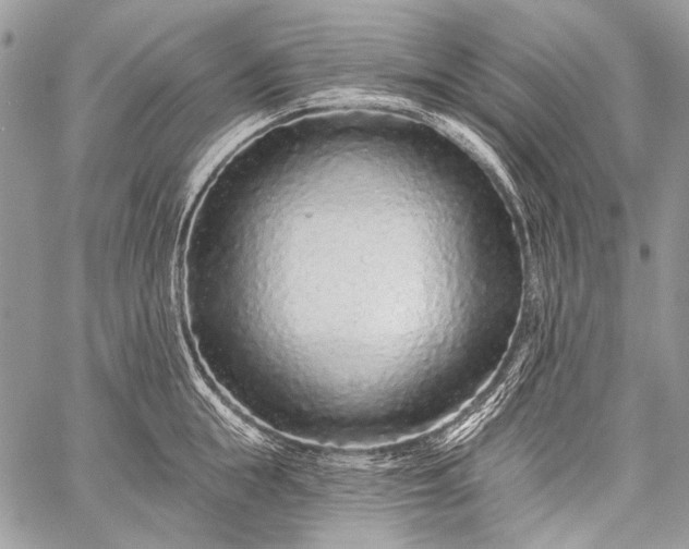 X0000059240855200510171429