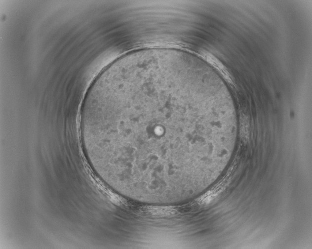 X0000059240856200510171429