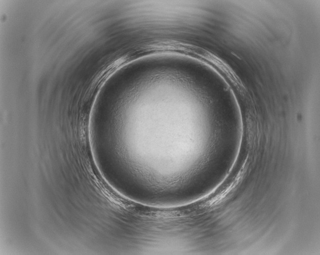 X0000059240857200510171429