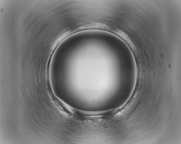 X0000059240858200510171429