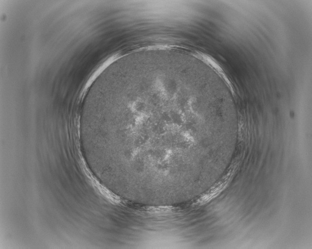 X0000059240859200510171429